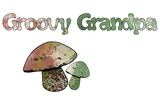 Discover Groovy Grandpa