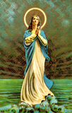 Discover Stella Maris Our Lady Star of the Sea