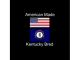 Discover "American Born..Kentucky Bred" Flag Design