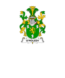 Discover O'moledy Coat Of Arms - Family Crest