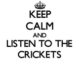 Discover Keep calm and Listen to the Crickets