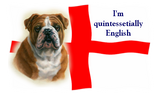 Discover English flag and bulldog