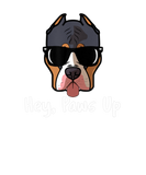 Discover Hey Paws Up Pitbull Dog Mom Dad In Sunglasses