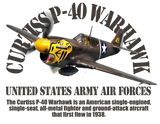 Discover Aviation Art  “Curtiss P-40 Warhawk"