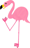 Discover Adorable Awkward Pink Flamingo