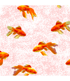 Discover Gold fish pattern pink