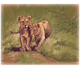 Discover Lion Cubs