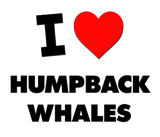 Discover I Love Humpback Whales