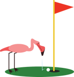 Discover Golf Birdy