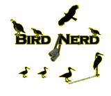 Discover Bird Nerd Silhouette