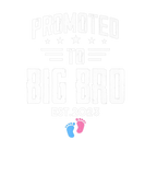 Discover Promoted To Big Bro 2023 Funny Gender Reveal Pink