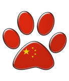 Discover Chinese patriotic cat