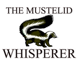 Discover The Mustelid Whisperer