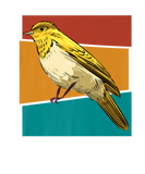 Discover Vintage Bird Yellow Flycatcher