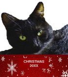 Discover Black Cat Christmas 20XX Women's Basic