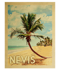 Discover Nevis Vintage Travel  - Beach