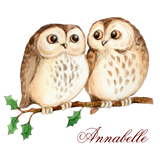 Discover Cute owls on a branch. Personalized