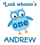 Discover Cute 1st Birthday Boy Owl Blue A01