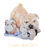 Discover cute puppy shar pei dog portrait with fun slogan