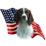Discover Brittany Spaniel Flag