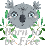 Discover Born to be Free Koala Bear Boys'