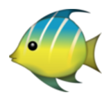 Discover Tropical Fish - Emoji