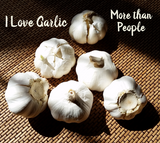Discover I Love Garlic more than People Fun Culinary