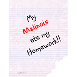 Discover Belgian Malinois Ate My Homework