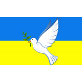 Discover ukraine-26179 DOVE Polo