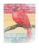 Discover Vintage Retro Northern Cardinal Bird