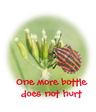 Discover Red Bug - One More Bottle Does Not Hurt