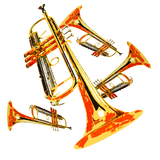 Discover Multi Trumpets