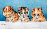 Discover Three Kittens, Cat, Louis Wain