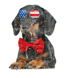 Discover Dachshund Sunglasses American USA Flag 4Th Of July
