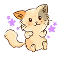 Discover Cat Kitten - Cute Kawaii Anime - Aesthetic Japanes