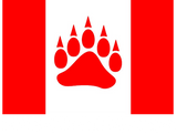 Discover 100% Canadian Bear Canadian Flag With Bear Paw