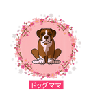 Discover Boxer Dog Mom Cherry Blossom Sakura