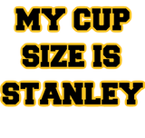Discover My Cup Size Is Stanley Black and Gold