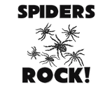 Discover Spiders Rock