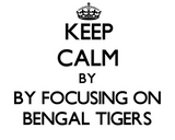 Discover Keep calm by focusing on Bengal Tigers
