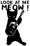 Discover Guitar Playing Black Cat