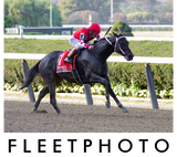 Discover Midnight Bisou - Beldame Stakes