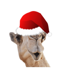Discover Hump Day Camel Santa Claus Hat