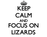 Discover Keep calm and focus on Lizards