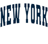 Discover New York City NYC Vintage College Style Sweat