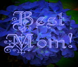 Discover Best Mom with Blue Flower Background