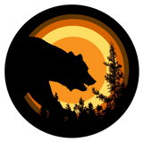 Discover Bear Pride Bear In Sunset bear Pride flag colors T
