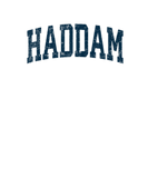 Discover Haddam Connecticut CT Vintage Athletic Sports Navy