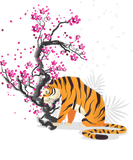 Discover Tiger Gift | Asia Animal Sakura Flower Gift Tiger