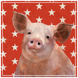 Discover Patriotic Farm - Pig